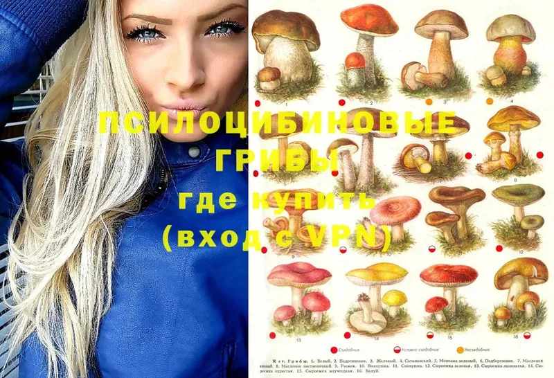 как найти закладки  OMG маркетплейс  Псилоцибиновые грибы MAGIC MUSHROOMS  Баксан 